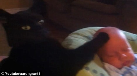 Γάτα νανουρίζει μωρό 