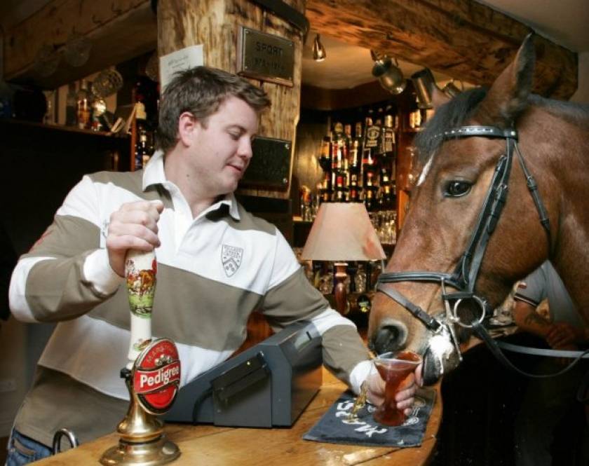Ένα άλογο μπαίνει σε ένα μπαρ…