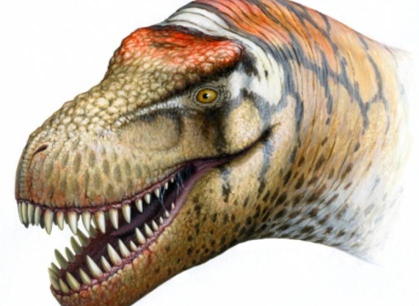 Ανακάλυψαν δεινόσαυρο συγγενή του Τυρρανόσαυρου