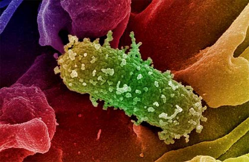 Αυξημένη προσοχή για το Ε coli συστήνει το ΚΕΕΛΠΝΟ