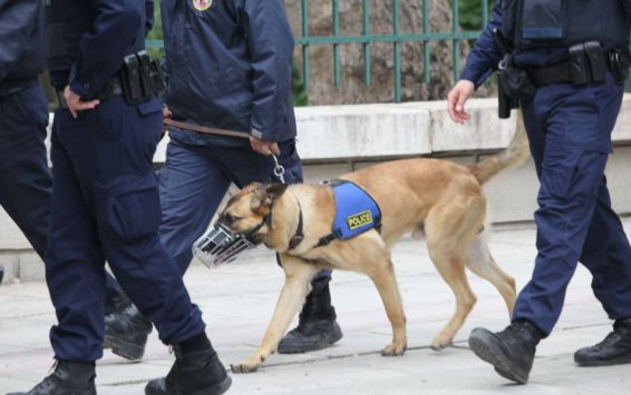Σκύλος του Λιμενικού εντόπισε 11,5 κιλά κοκαΐνη
