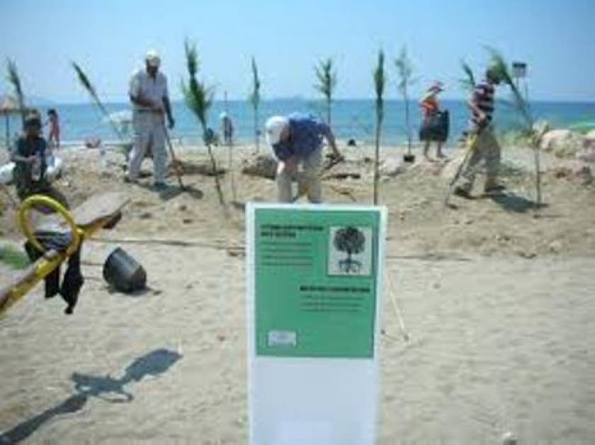 Θεσσαλονίκη: Εθελοντές καθάρισαν την παραλία Σοφούλη