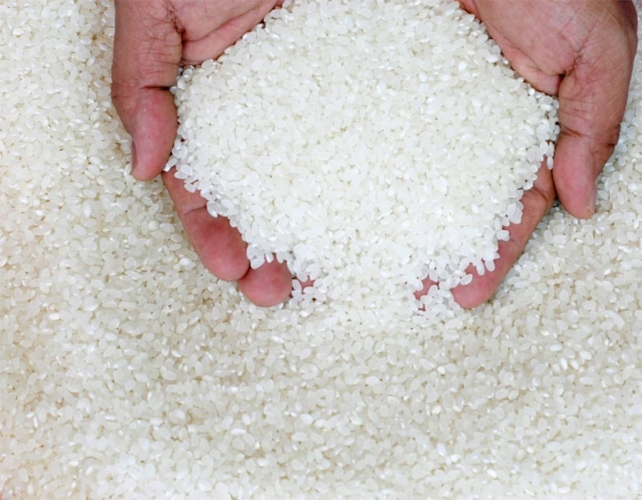 Ρύζι με ραδιενέργεια στην Ιαπωνία
