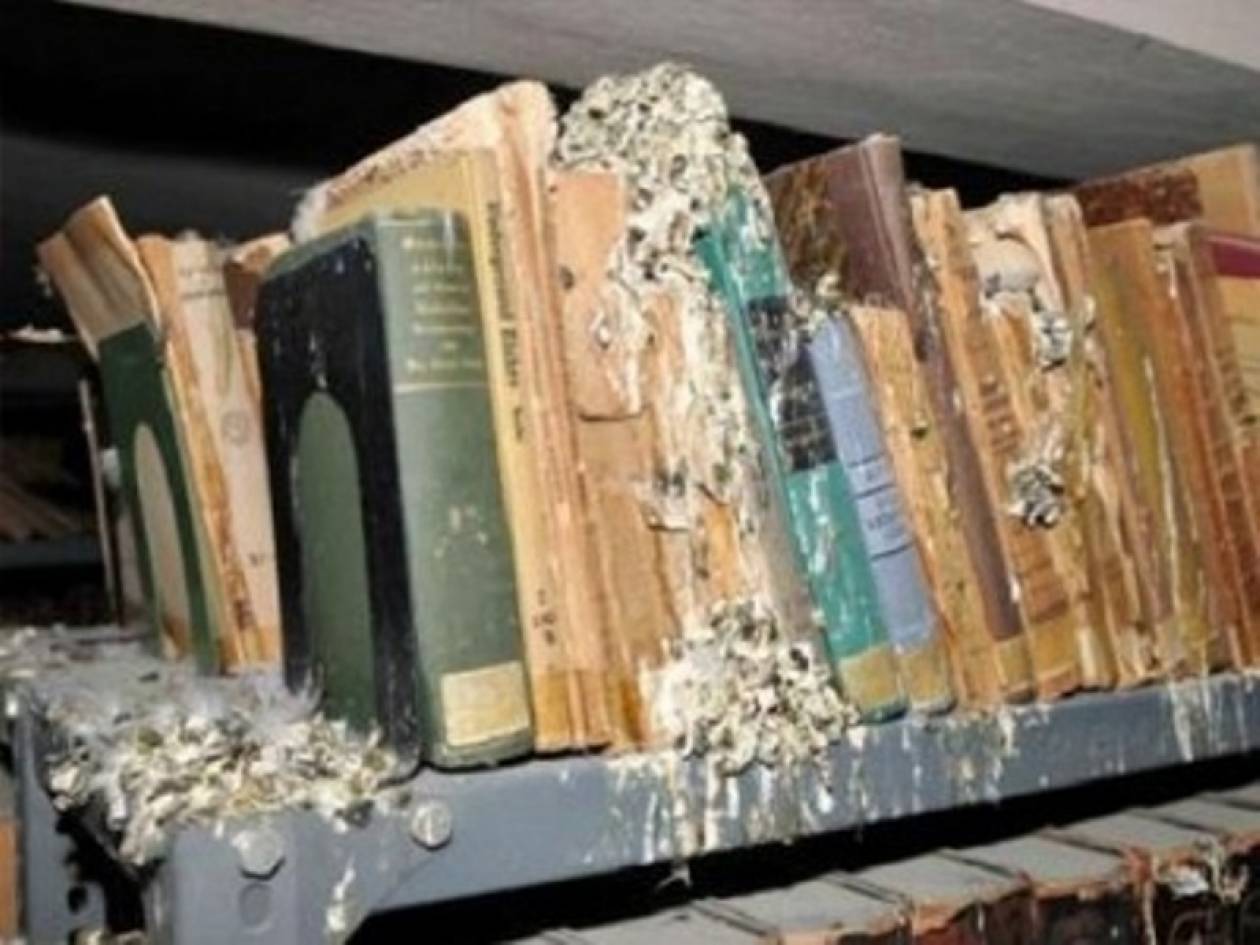 Περιστέρια κατέστρεψαν σπάνια βιβλία