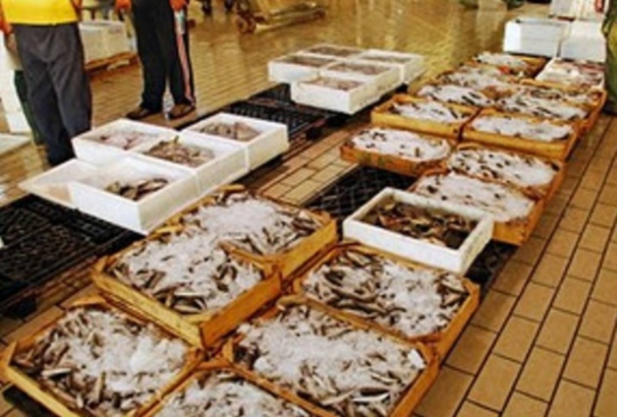 Κατέσχεσαν  14 κιλά ψάρια στην ιχθυόσκαλα Μηχανιώνας