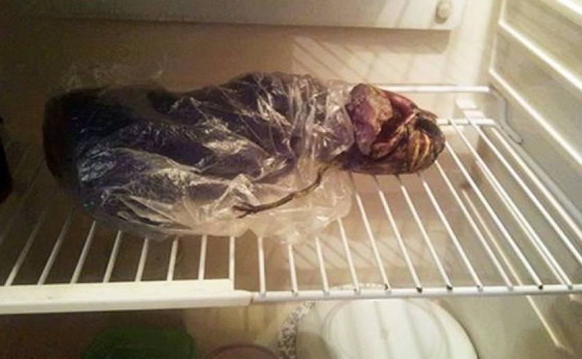 Κρατούσε για δυο χρόνια έναν εξωγήινο στο ψυγείο της!