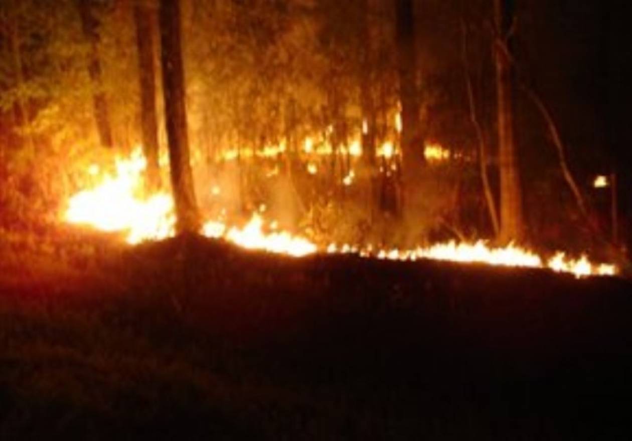 Εκτεταμένη πυρκαγιά στις Βουκολιές Χανίων