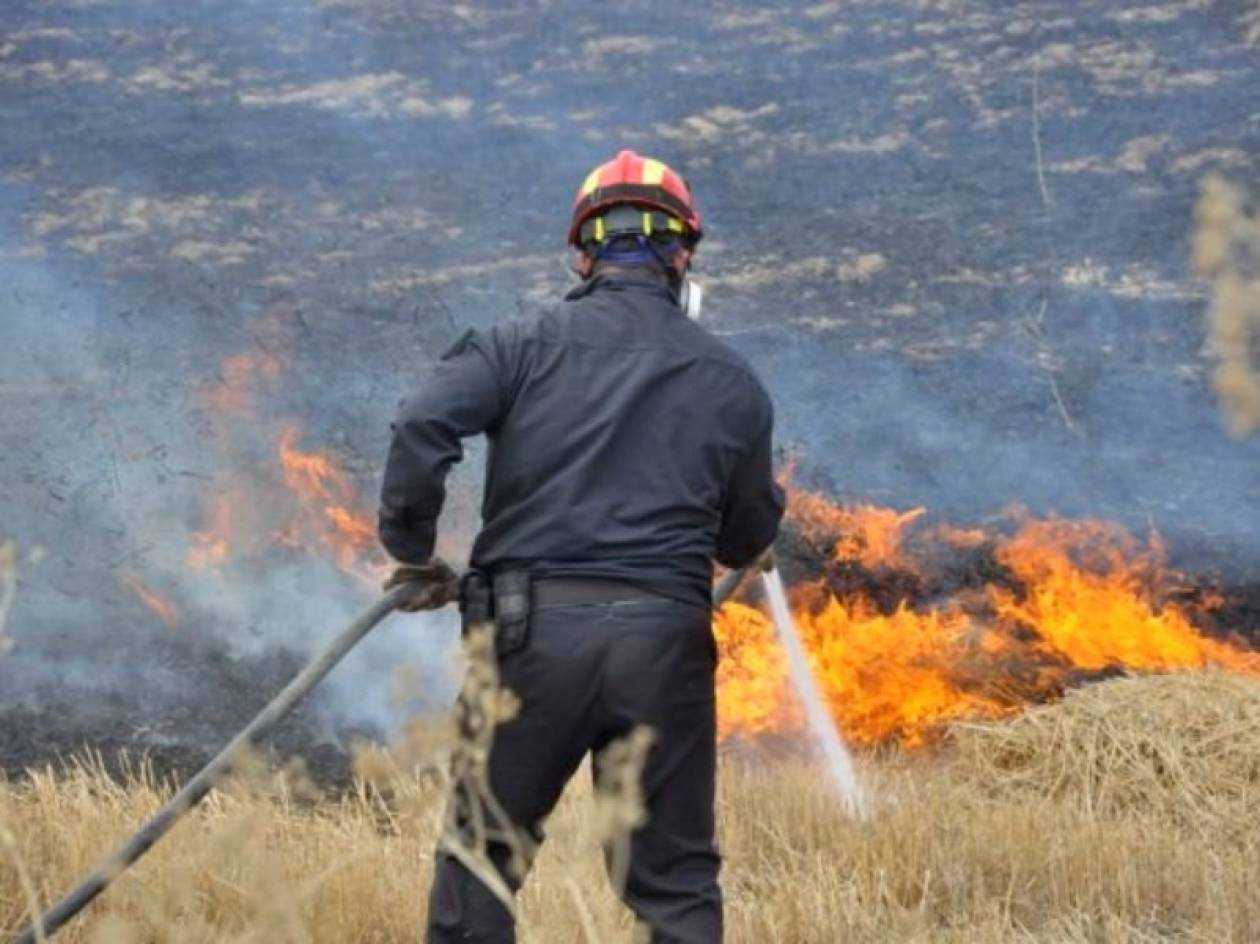 Σε εξέλιξη πυρκαγιά στο Δήμο Κύμης- Αλιβερίου