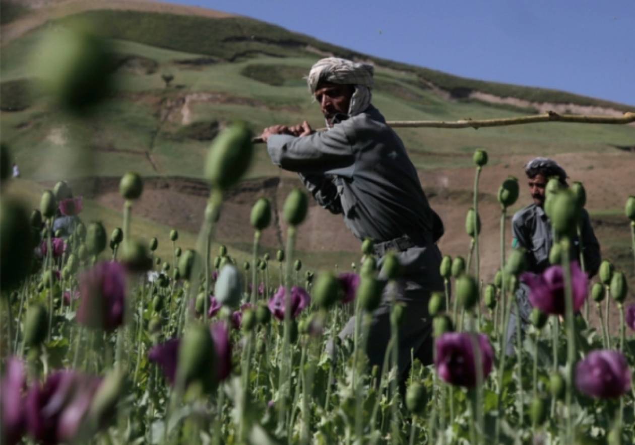 Αύξηση των κατασχέσεων  ναρκωτικών  στο Αφγανιστάν