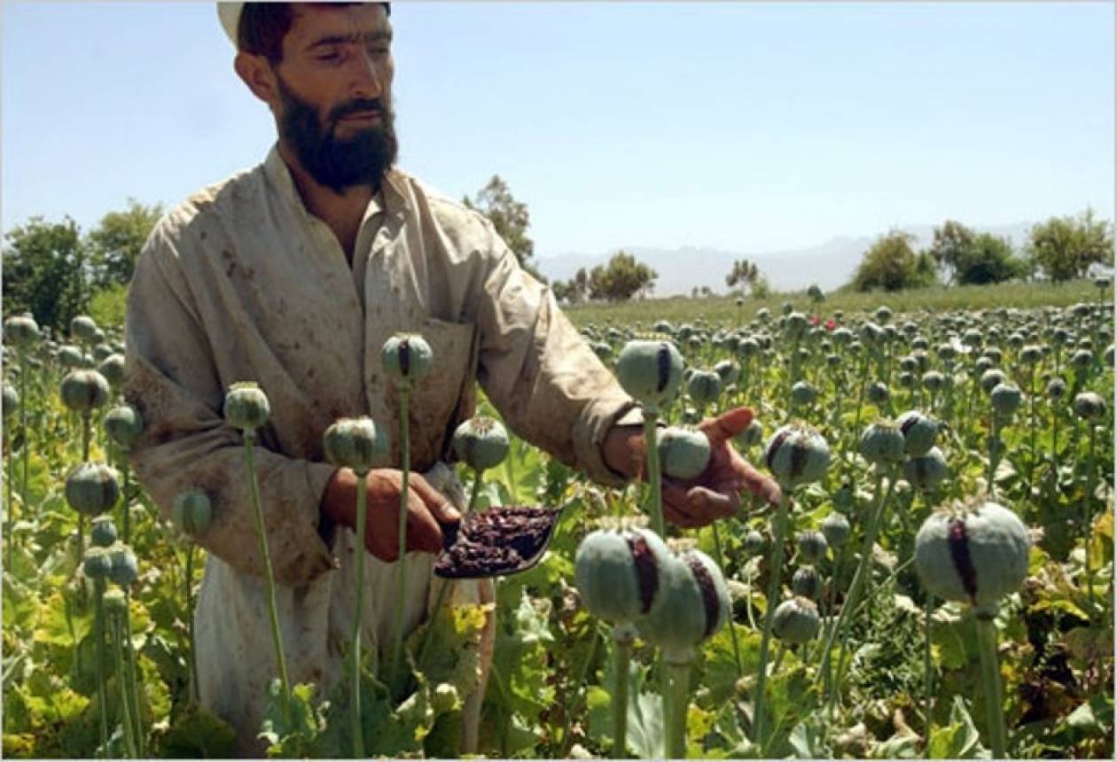 Σημαντικό το όπιο για την οικονομία του Αφγανιστάν