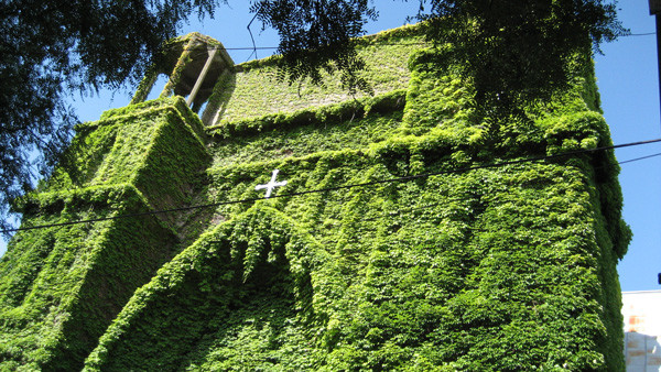 Μια πράσινη, παράξενη εκκλησία  