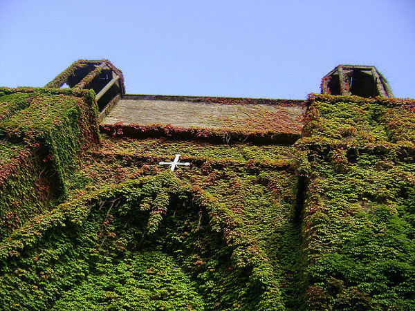 Μια πράσινη, παράξενη εκκλησία  