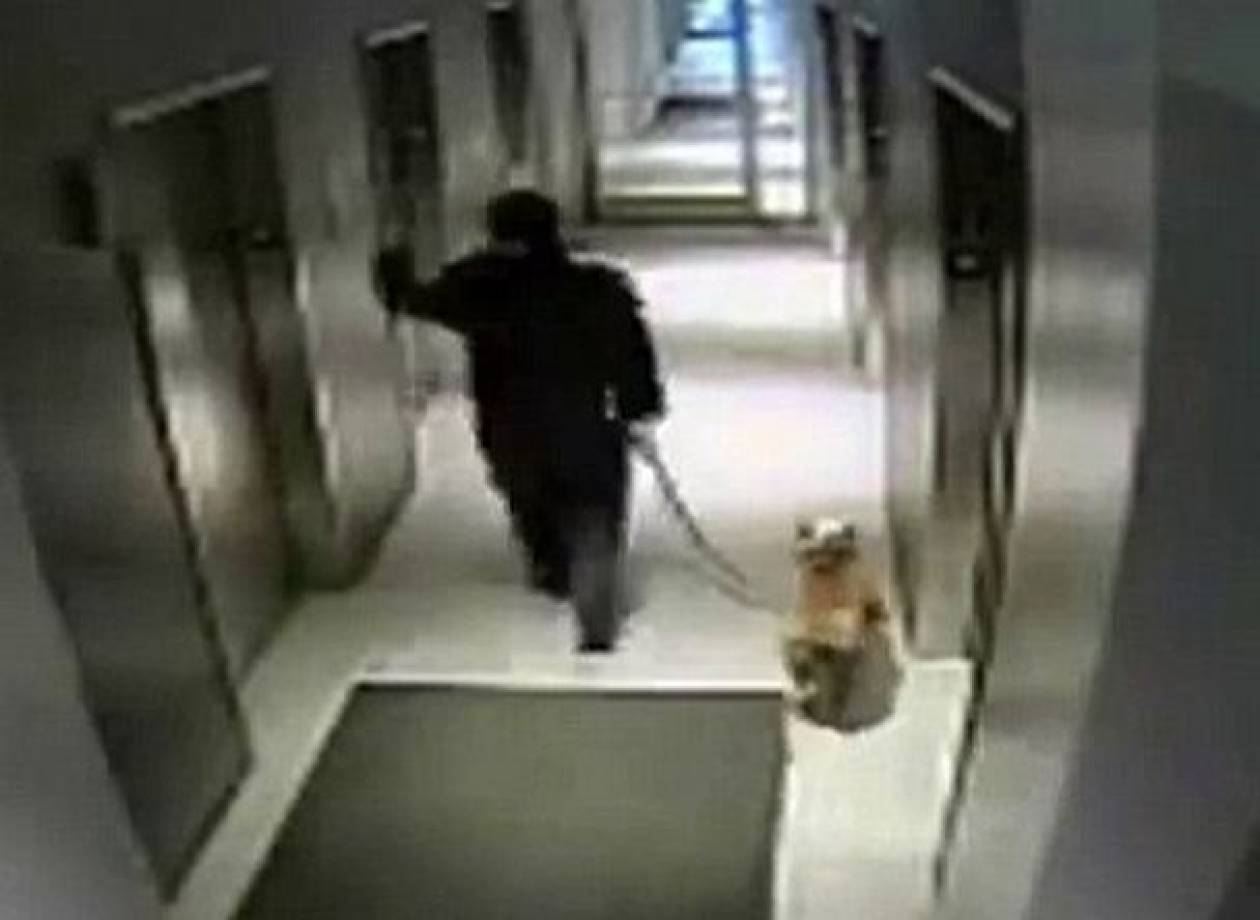 Μπήκε στο ασανσέρ κρατώντας το λουρί και άφησε τον σκύλο έξω