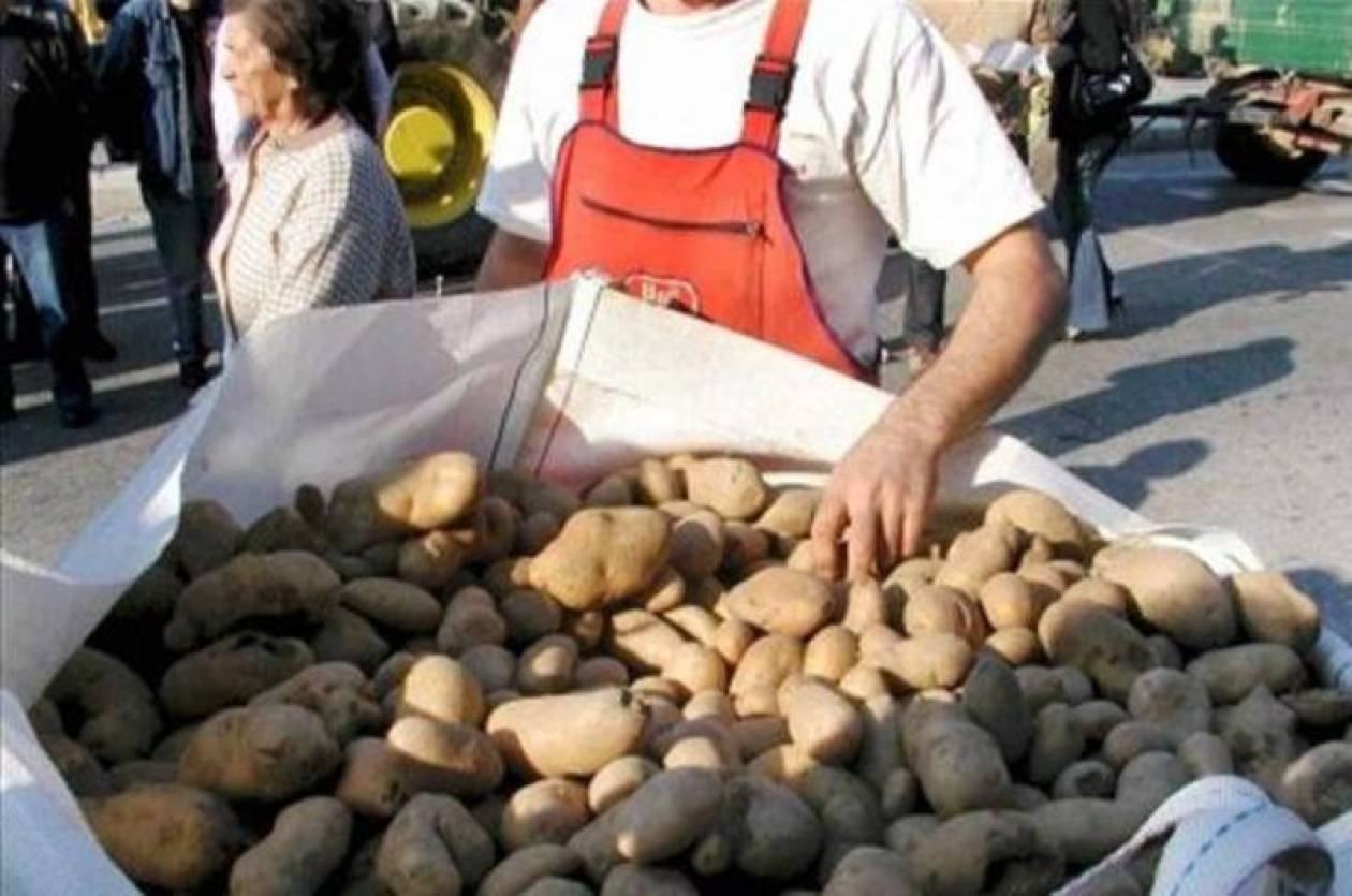 Πανικός στη Θεσσαλονίκη για δωρεάν πατάτες