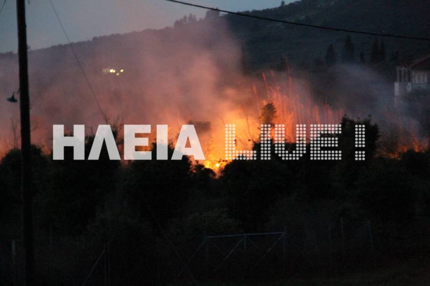 Πυρκαγιά στην Ηλεία, στην καρδιά του χειμώνα