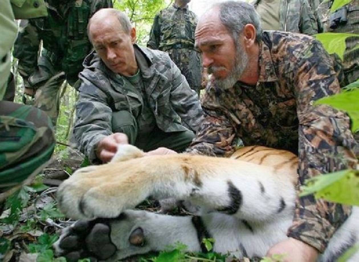 Απάτη η αναισθητοποίηση τίγρης από τον Πούτιν