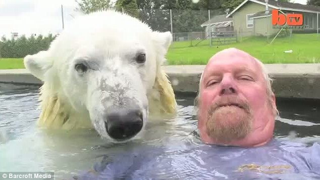 Η φιλία ενός ανθρώπου και μιας πολικής  αρκούδας