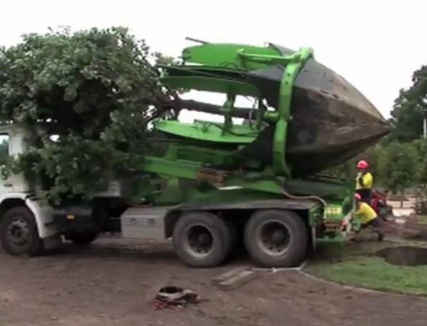 Βίντεο: Έτσι μεταφέρεις ένα δέντρο