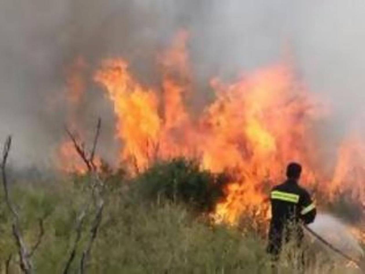 Μήνυση από το δήμαρχο Έδεσσας για την πυρκαγιά στον υδροβιότοπο Άγρας