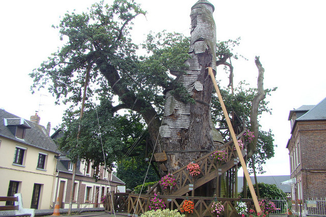 Εκκλησία πάνω σε δέντρο (φωτο)