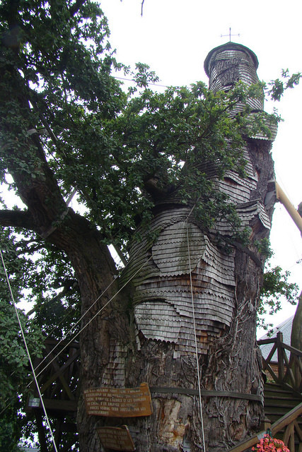 Εκκλησία πάνω σε δέντρο (φωτο)
