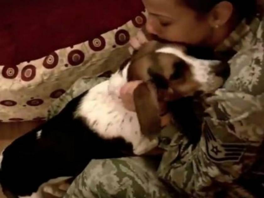 Βίντεο: Σκύλος ξαναβλέπει το αφεντικό του μετά από έξι μήνες!