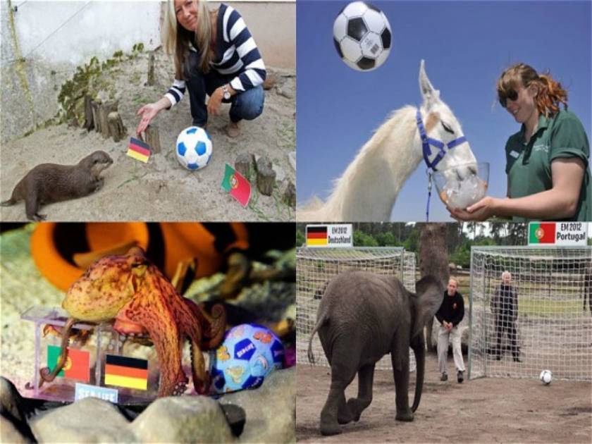 Euro 2012: Οι 8 επίδοξοι διάδοχοι του χταποδιού-μάντη