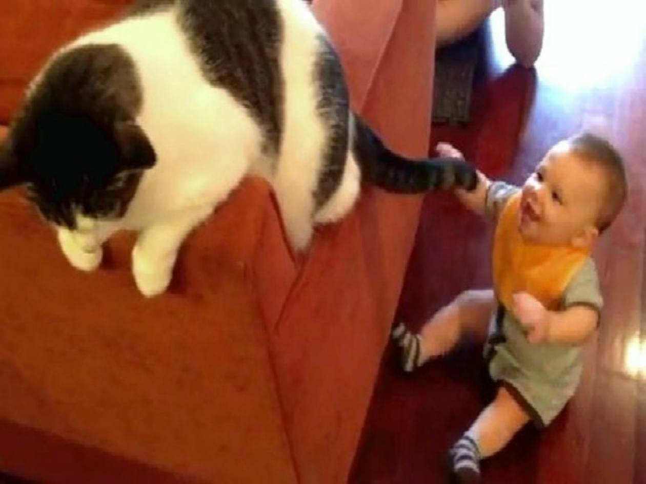 Ένα... επίμονο μωρό τα βάζει με την ουρά μιας γάτας! (vid)