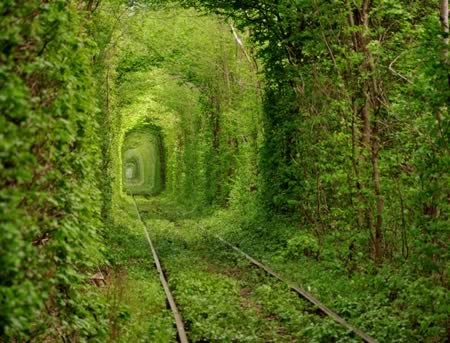 Τα πιο παράξενα τούνελ που έχετε δει! (pics)