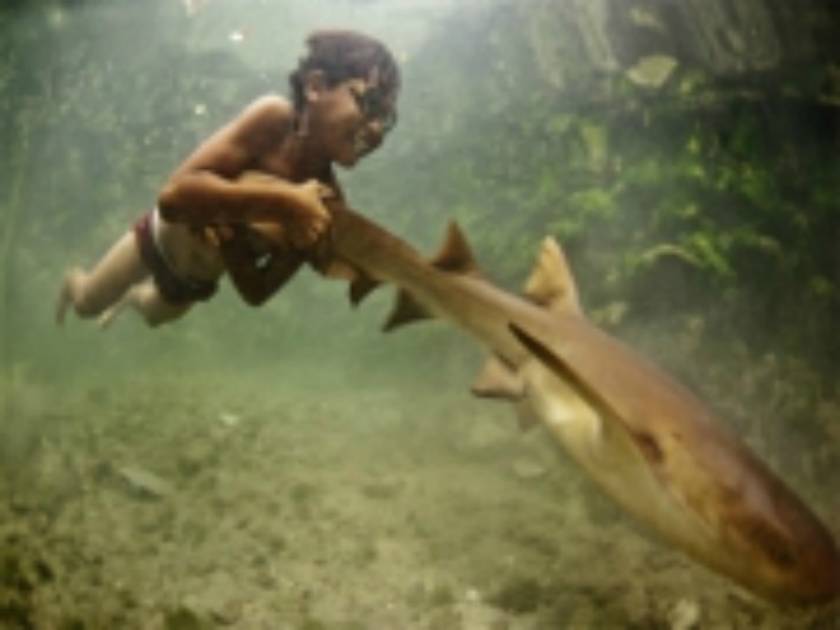 Βόλτα στο βυθό με καρχαρία και άλλες εντυπωσιακές φωτογραφίες