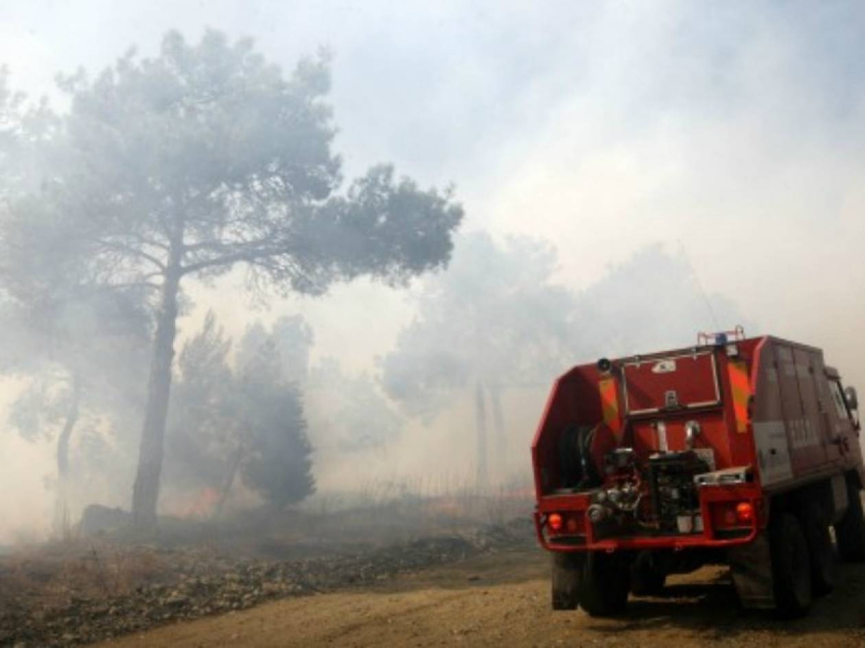 Εύβοια: Mεγάλη φωτιά στην Ιστιαία