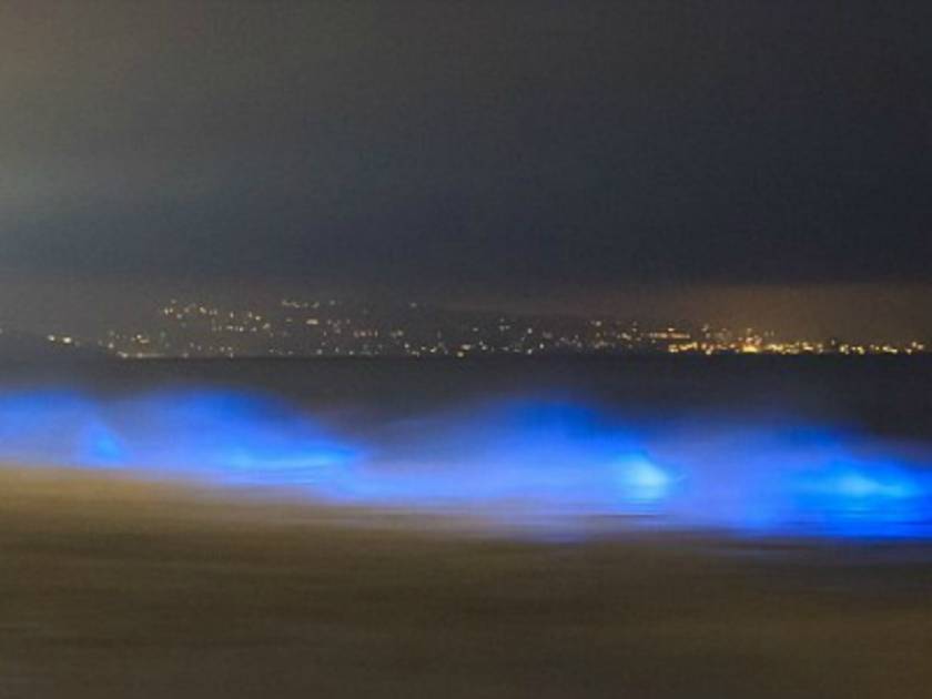 Εκπληκτικές φωτογραφίες: Τα κύματα στην Καλιφόρνια φωσφορίζουν