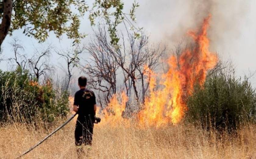 Ηράκλειο: Πυρκαγιά στην περιοχή Σκινιά