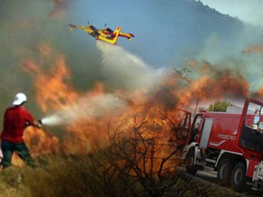 Συναγερμός στην Κερατέα: Πυρκαγιά κοντά σε κατοικημένη περιοχή