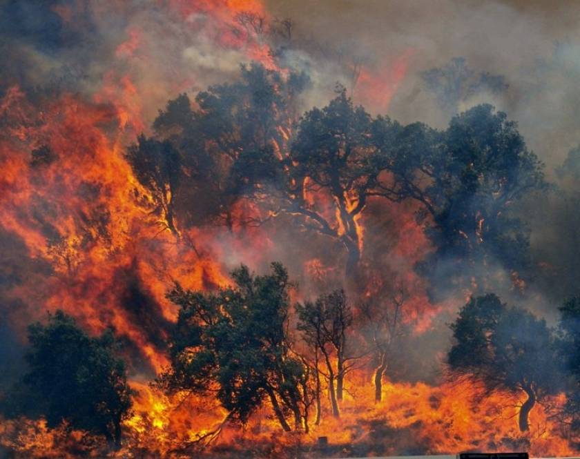 Γάλλοι τα θύματα της τεράστιας πυρκαγιάς στην Ισπανία
