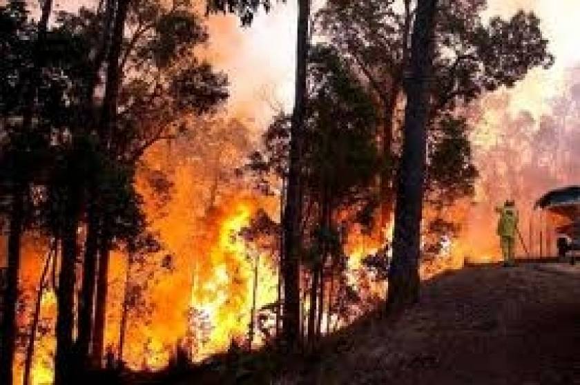 ΤΩΡΑ: Πυρκαγιές σε Ιωάννινα και Μεσσηνία