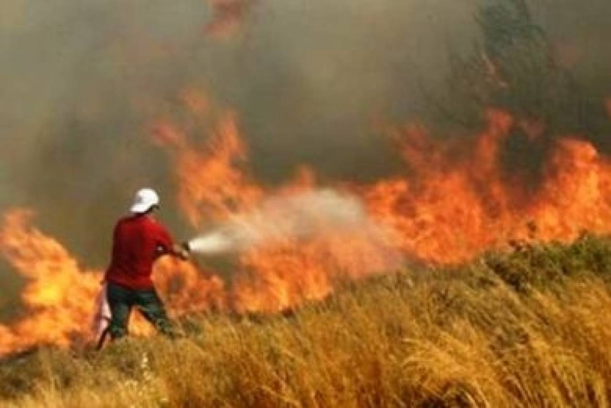 ΤΩΡΑ: Στις φλόγες τα Μάλια