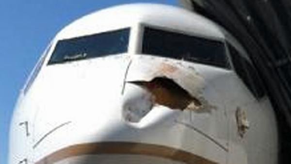 Απίστευτες εικόνες: Δείτε τί προκάλεσε ένα πουλί σε ένα αεροπλάνο!