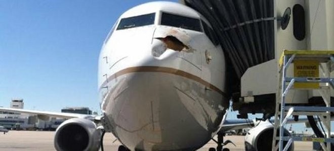 Απίστευτες εικόνες: Δείτε τί προκάλεσε ένα πουλί σε ένα αεροπλάνο!