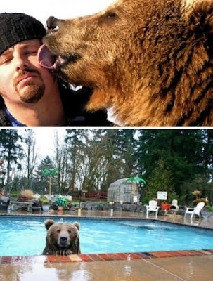 Έχει αρκούδα για κατοικίδιο! (pics)