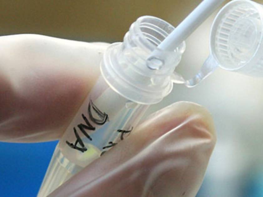 Πάρος: Τα τεστ DNA θα δώσουν τις απαντήσεις για τον «δράκο»
