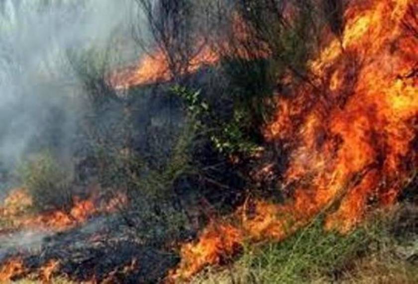 Πυρκαγιά στην περιοχή Δαμάσι της Λάρισας