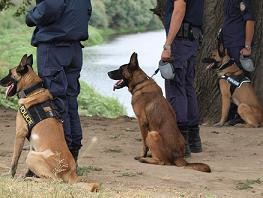 Αστυνομικοί σκύλοι κατά λαθρομεταναστών στον Έβρο (φωτό και βίντεο)