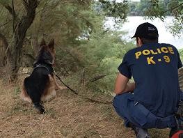 Αστυνομικοί σκύλοι κατά λαθρομεταναστών στον Έβρο (φωτό και βίντεο)