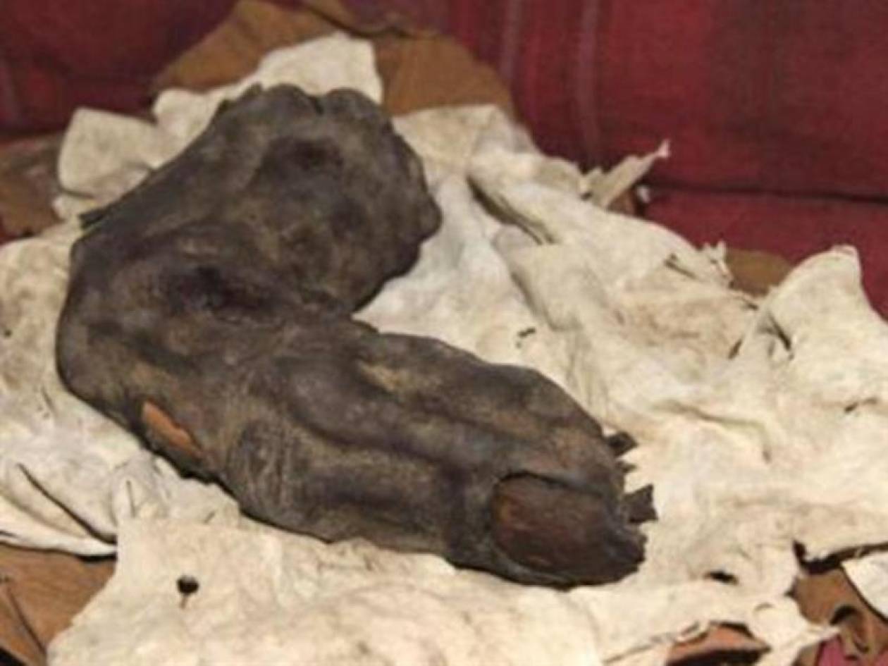 Γιγαντιαίο δάχτυλο ανακαλύφθηκε στην Αίγυπτο