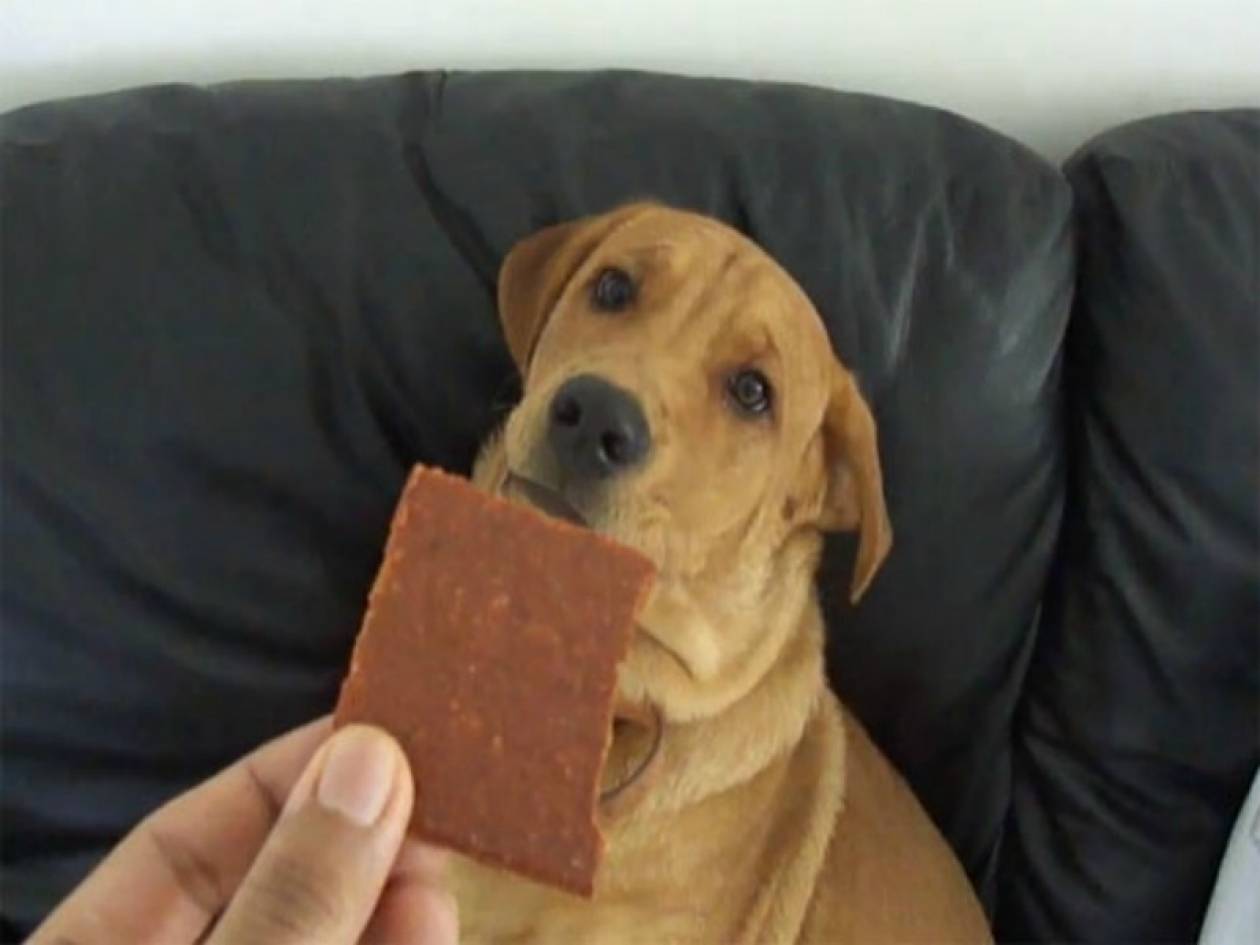 Video: Ξεκαρδιστική αντίδραση σκύλου σε φαγητό που δεν του αρέσει