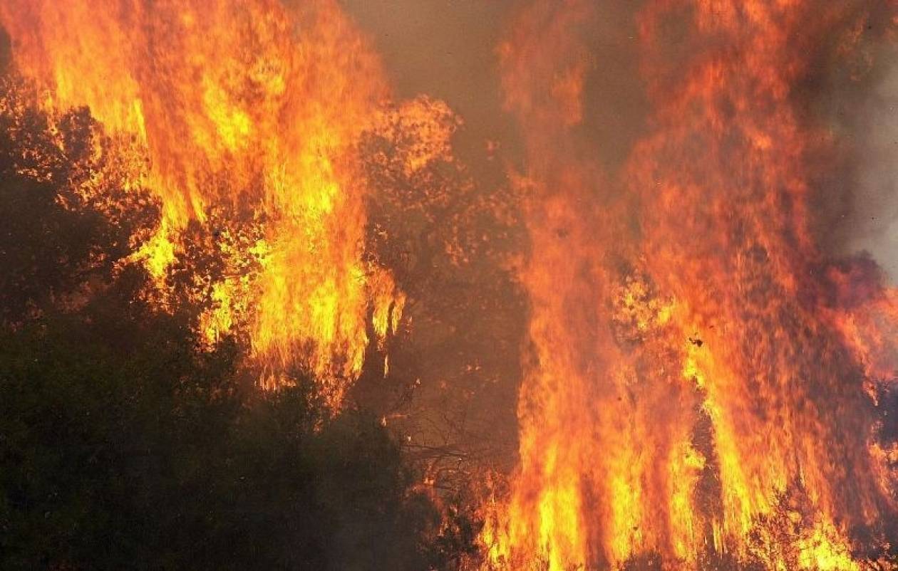 Αλβανία: Δεκαπέντε δασικές πυρκαγιές σε όλη τη χώρα