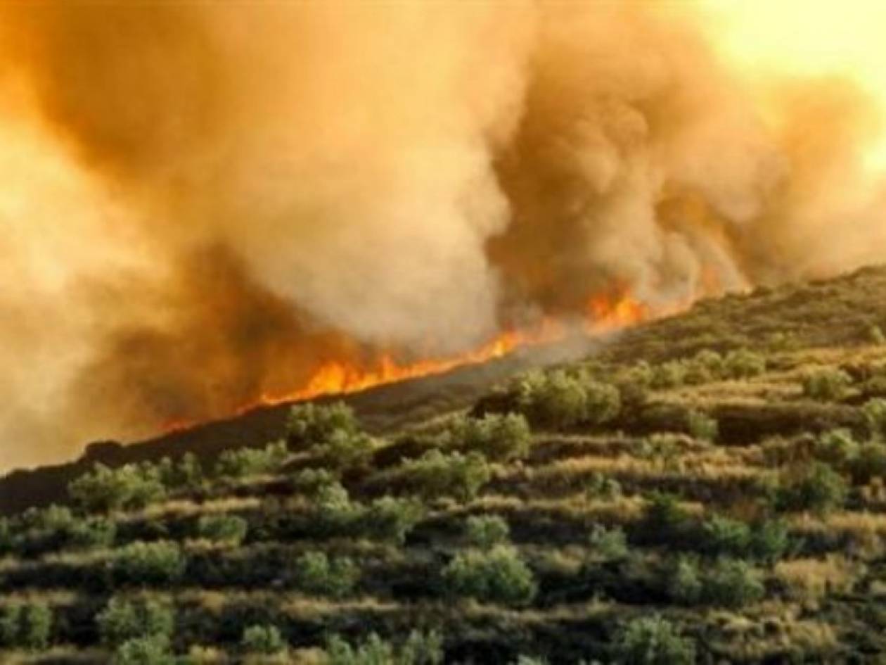 Κρήτη: Καίγεται και πάλι η Βιάννος