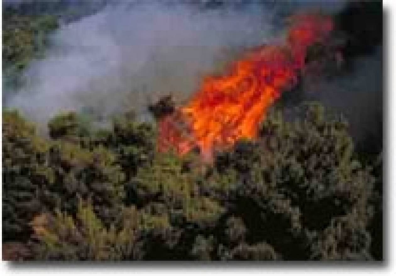 Σε ύφεση η πυρκαγιά στη Λακωνία