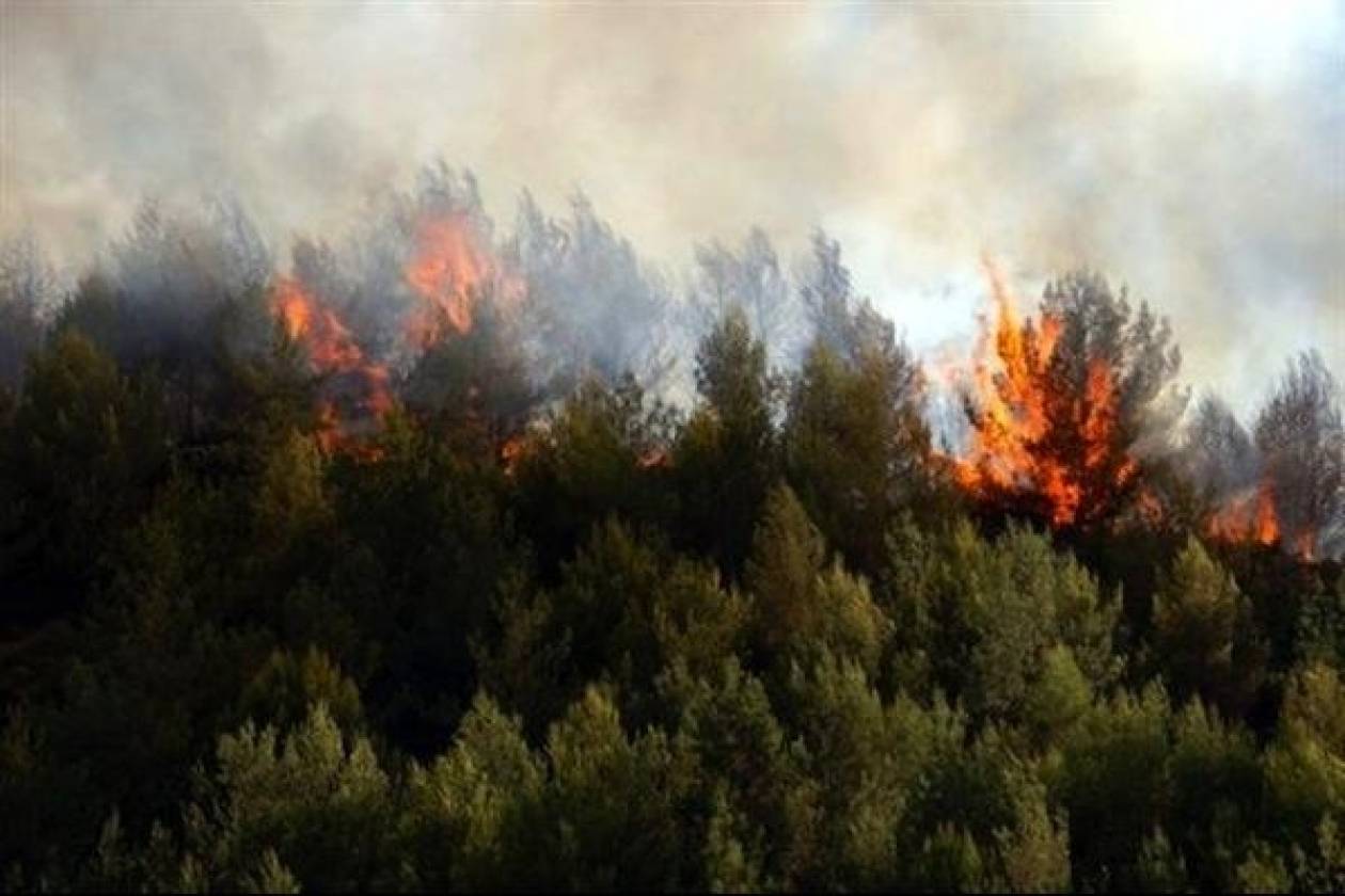 Σε ύφεση η φωτιά στο δάσος του Σέιχ Σου